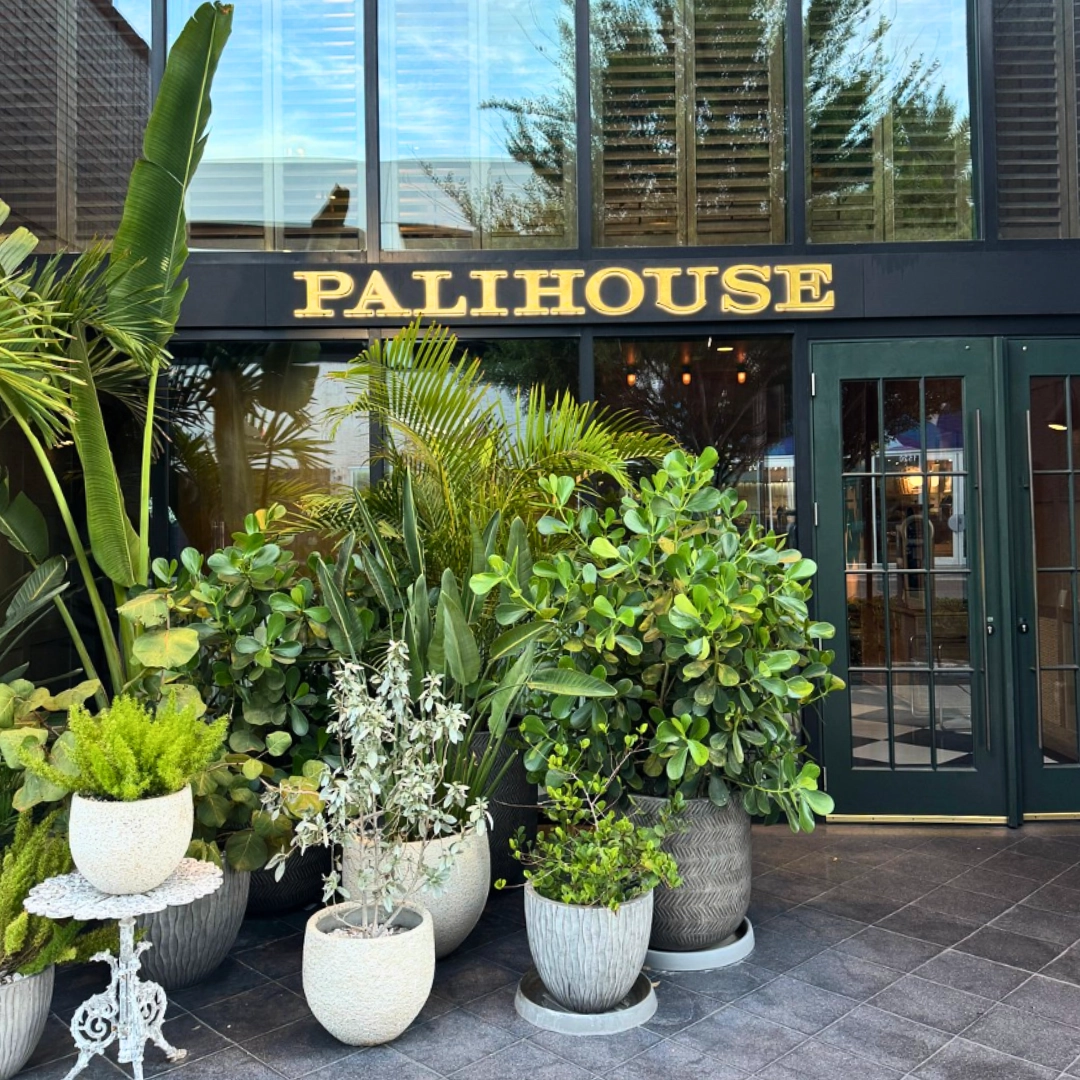 Where to Stay in Tampa Florida: Top Hotels in Downtown, Ybor City, Busch Gardens, Hyde Park, and Westshore 11 Palihouse Hyde Park Village Where to stay in Tampa